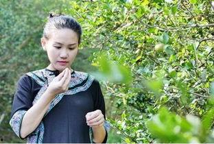 杨彩云明星,璀璨星河中的璀璨明珠