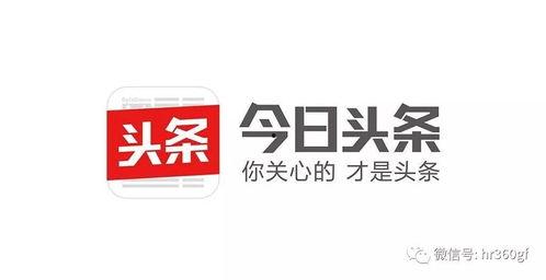 今日头条有什么企业吗,盘点那些在今日头条平台上崛起的企业